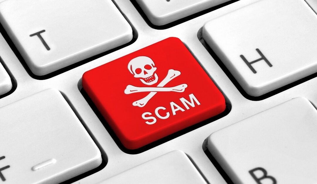 Is Elite Financial Group Ltd. Broker Safe? Full Review, Complaints, and Risk Analysis